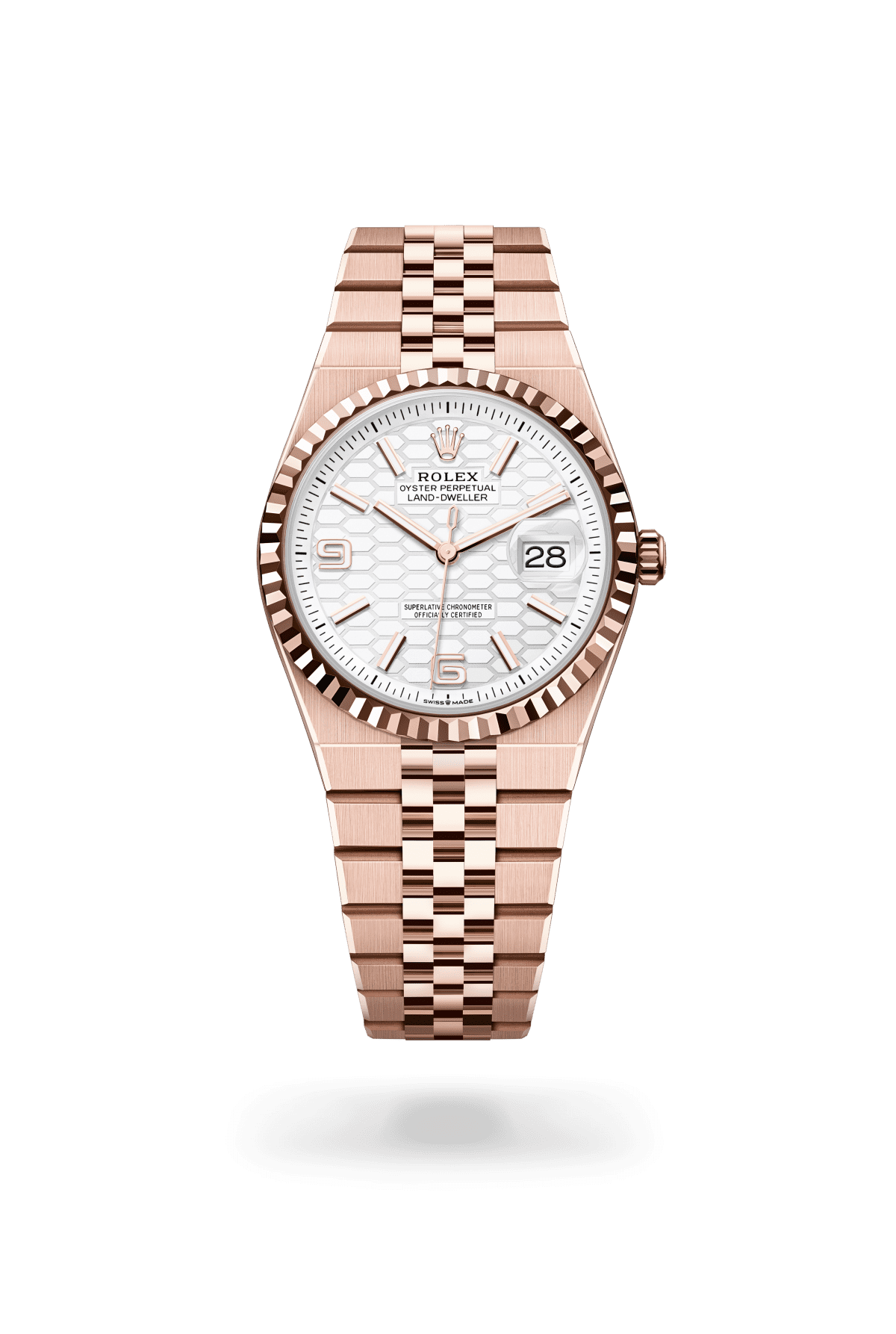 Land-Dweller — Watch