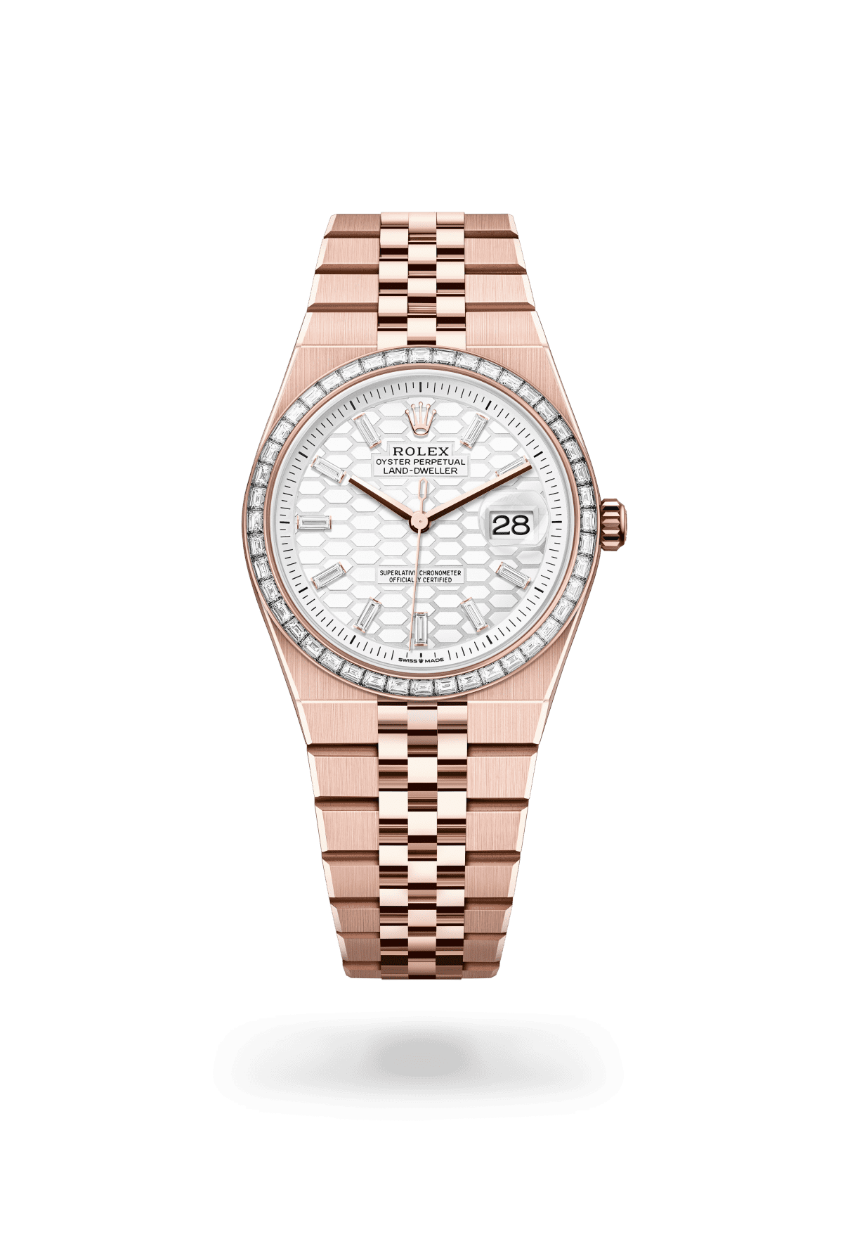 Land-Dweller — Watch