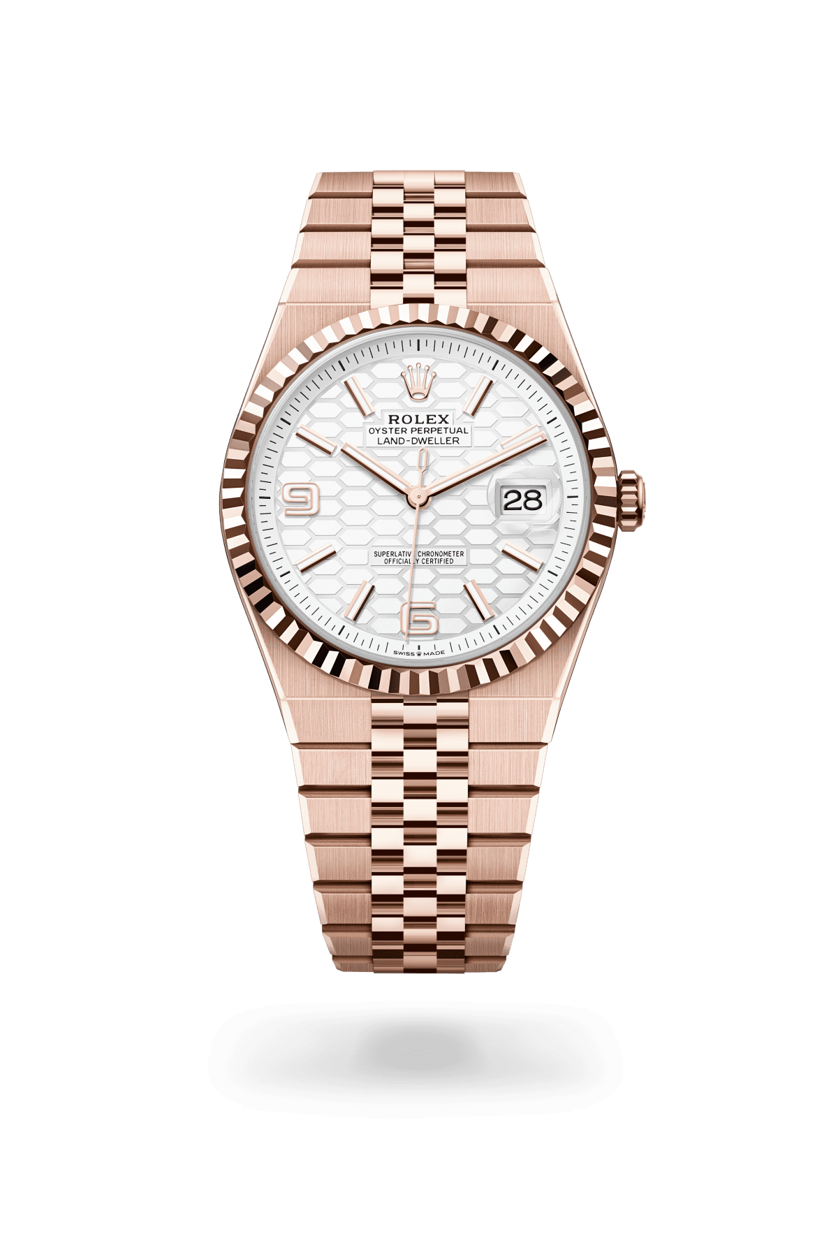 Land-Dweller — Watch