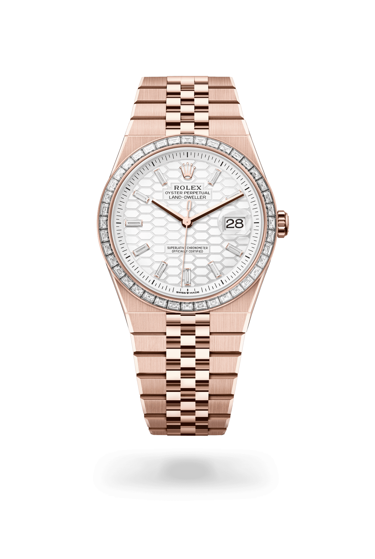 Land-Dweller — Watch